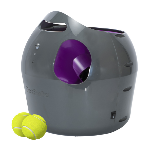 Lanceur de balles de tennis pour chien