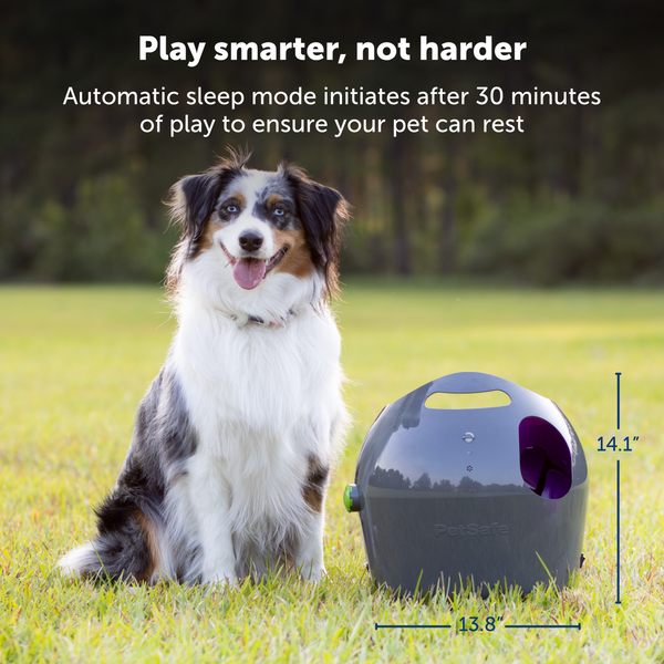 Lanceur de balles de tennis pour chien